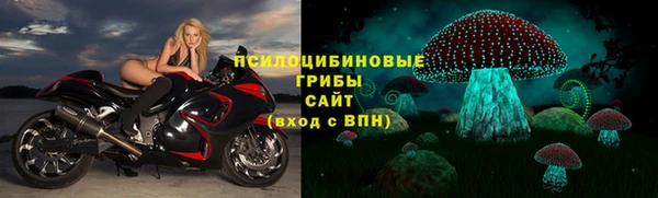 молекула духа Алексин
