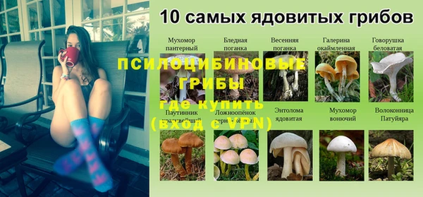 мяу мяу кристалл Бутурлиновка