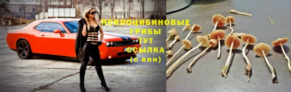 дживик Алексеевка