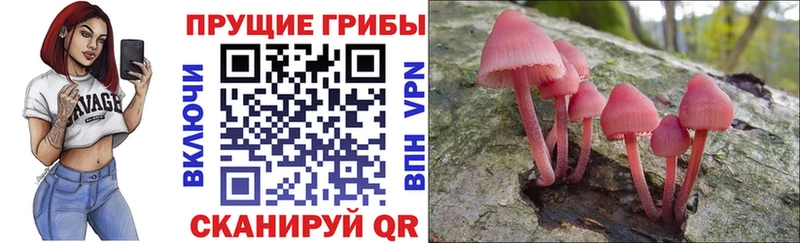 KRAKEN ССЫЛКА  Долинск  Псилоцибиновые грибы Psilocybine cubensis 